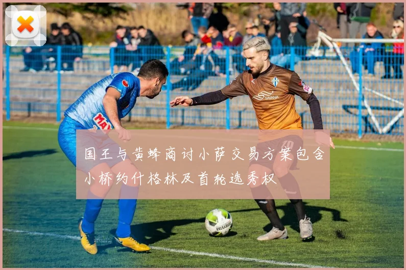 国王与黄蜂商讨小萨交易方案包含小桥约什格林及首轮选秀权