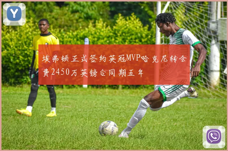 埃弗顿正式签约英冠MVP哈克尼转会费2450万英镑合同期五年