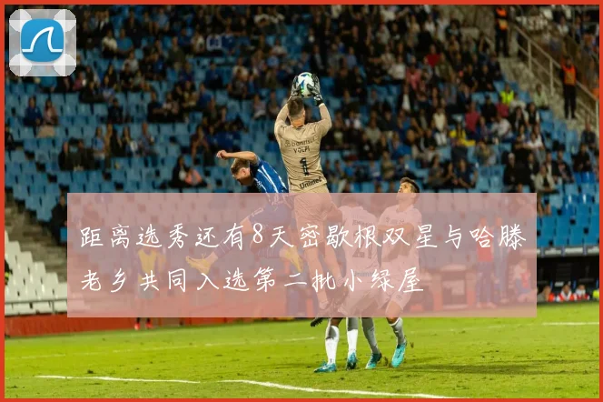 距离选秀还有8天密歇根双星与哈滕老乡共同入选第二批小绿屋